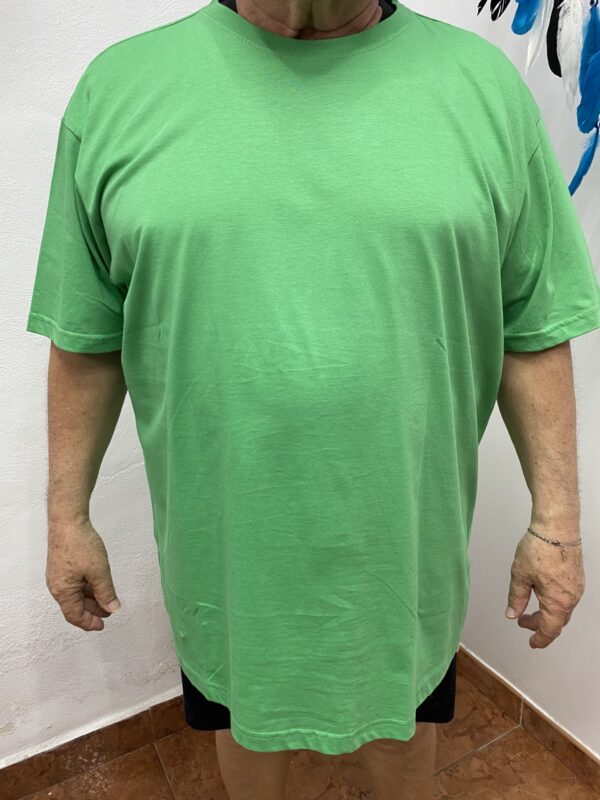 Camiseta Verde
